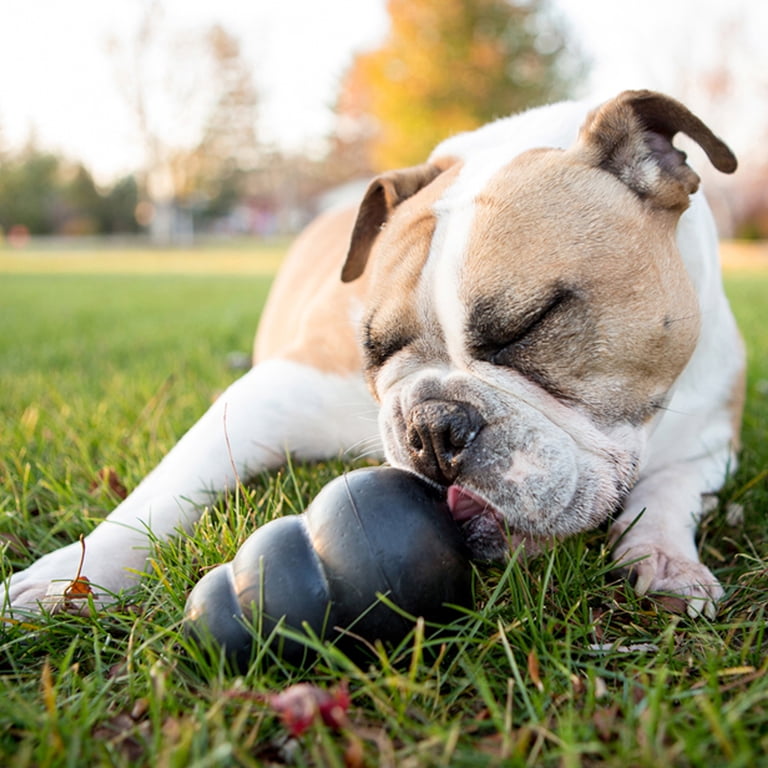 How to stuff and freeze a KONG toy