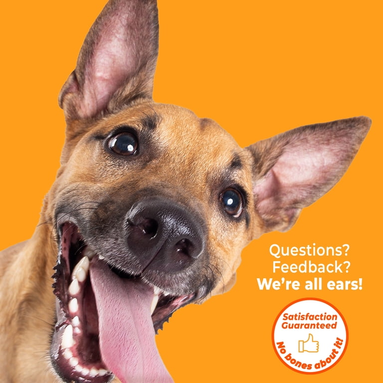 Nylabone chew toy lifestyle shot