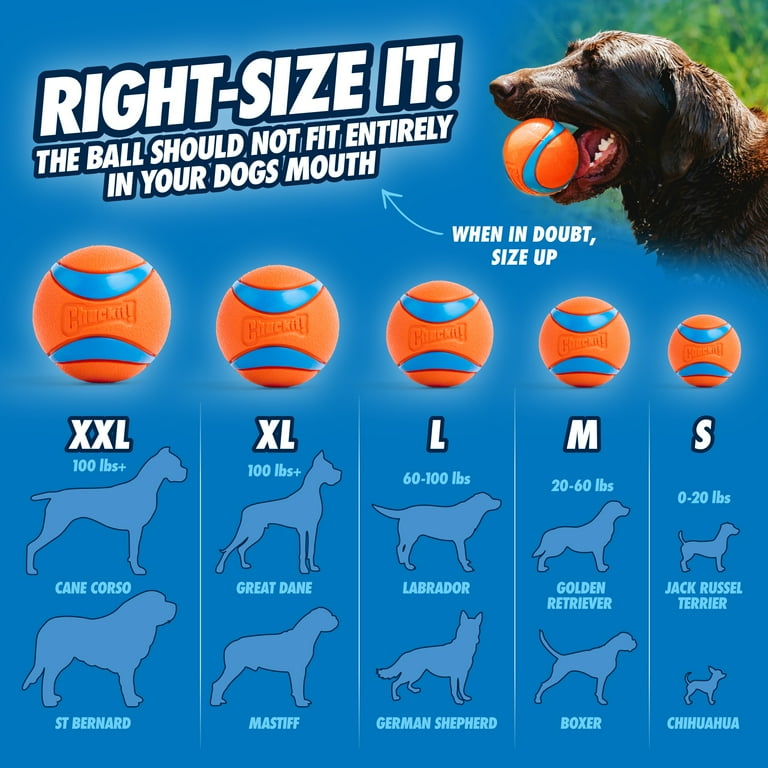 Chuckit! Ultra Ball – Large (3") High-Bounce Fetch Toy