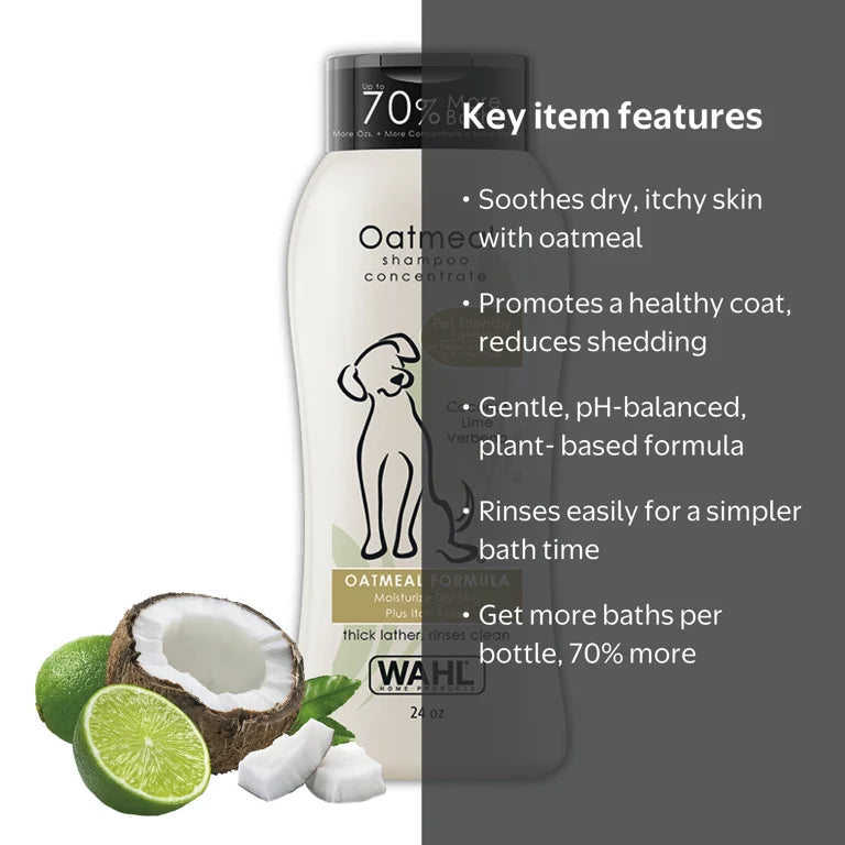 Coconut Lime Verbena scent product lifestyle shot