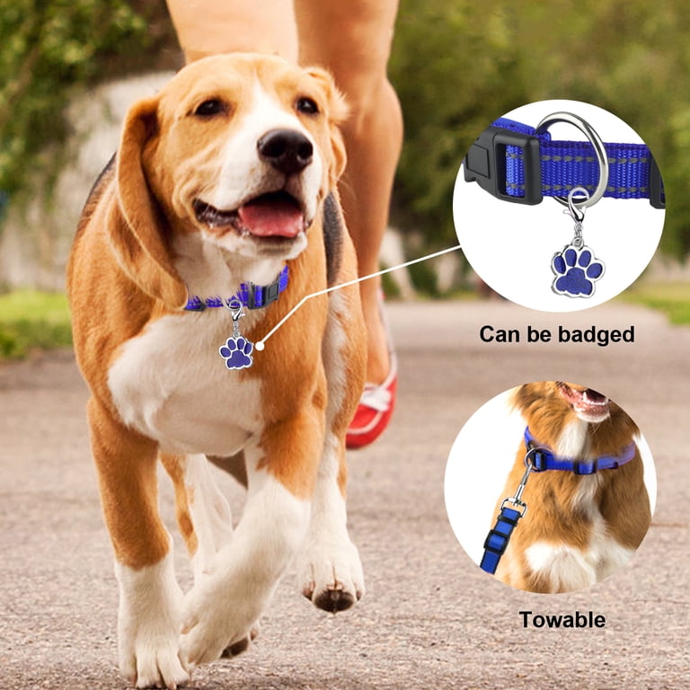 Dog collar breathable fabric close-up