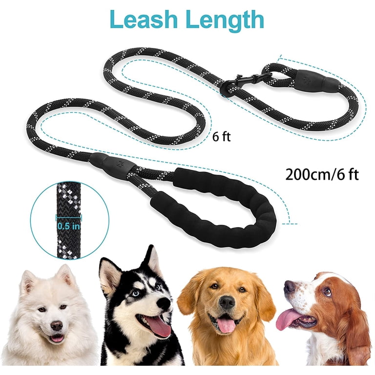 Bulldog being walked with heavy-duty leash