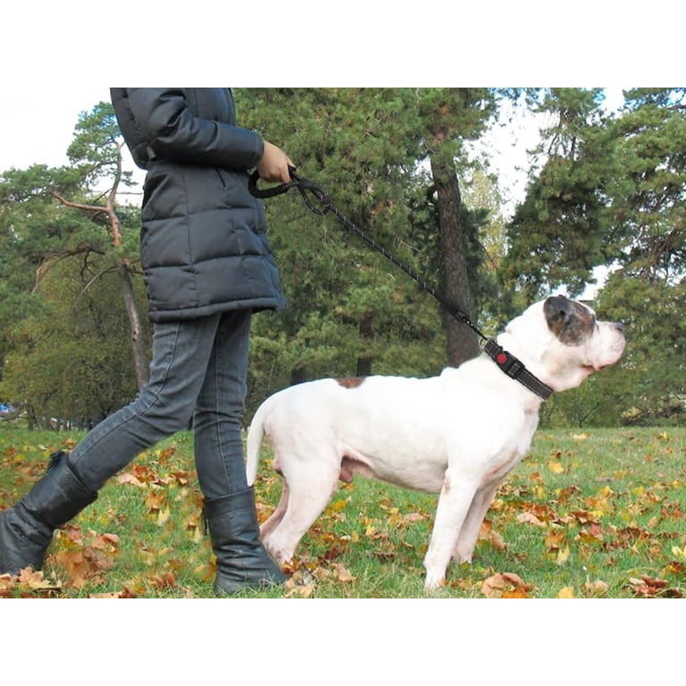 Leash coiled showing full length and rope detail