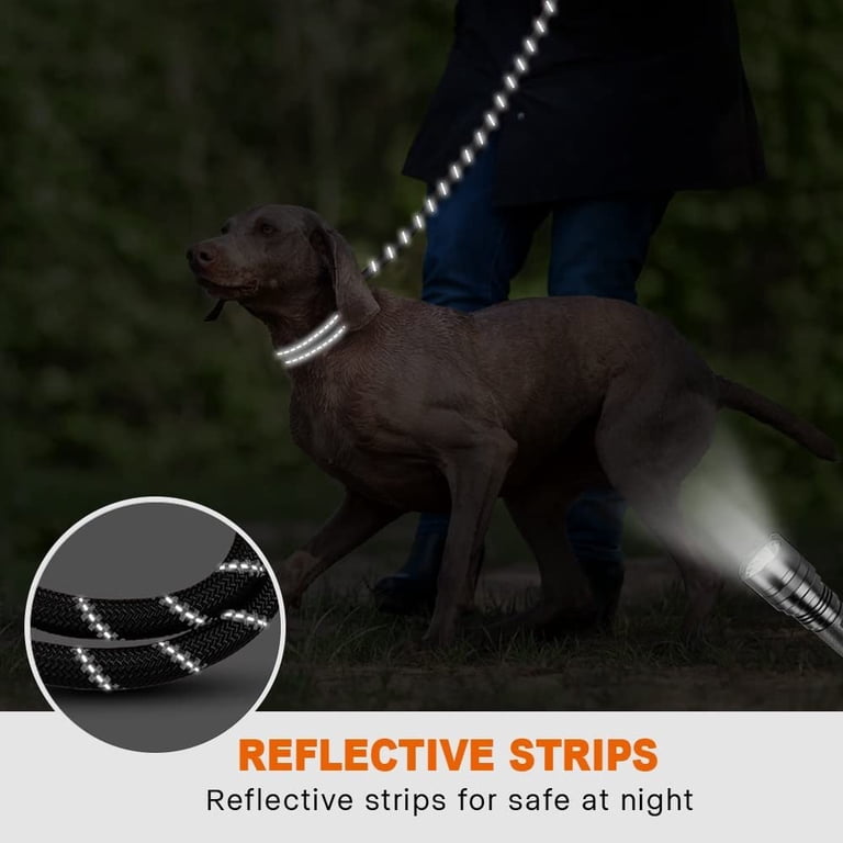 Additional leash product shot