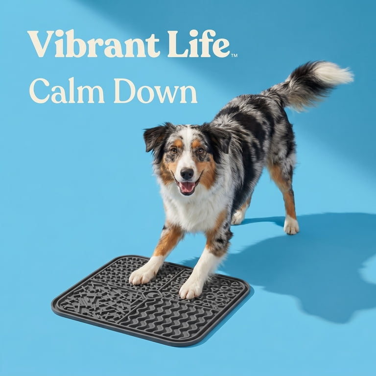 Australian Shepherd dog with licking mat
