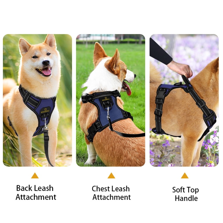 MASBRILL harness lifestyle shot