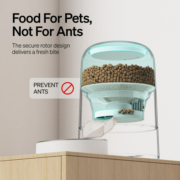 PETLIBRO feeder lifestyle detail shot