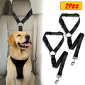 Golden retriever secured in car back seat with dog seat belt harness