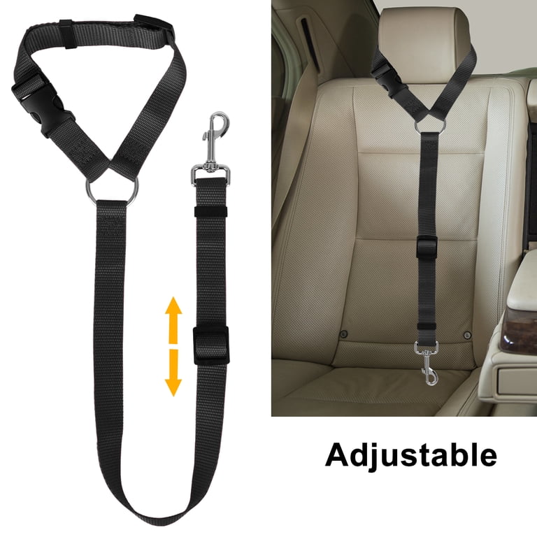Husky secured in luxury car back seat with adjustable dog seat belt