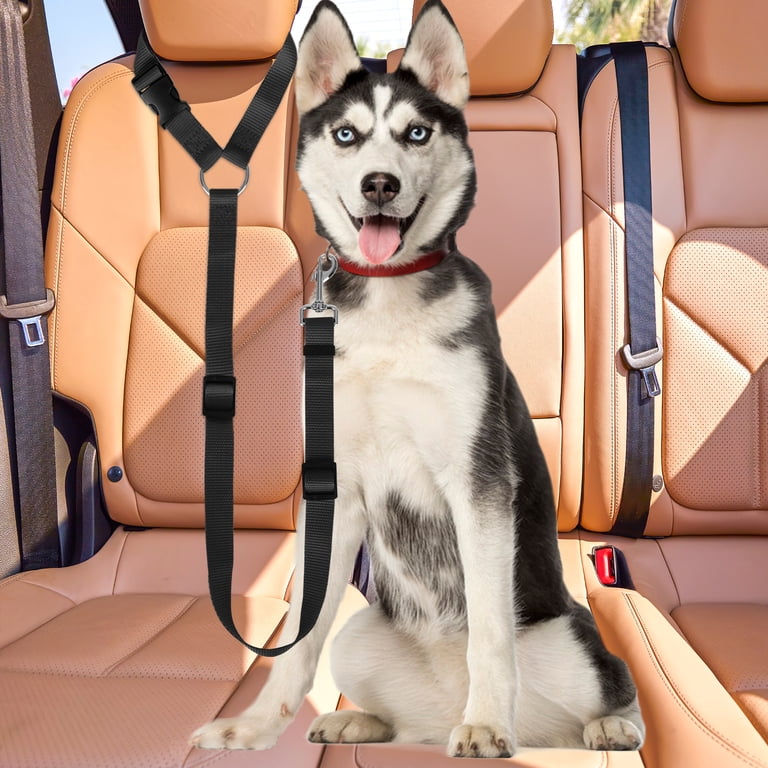 Dog seat belt detail infographic - lockable buckle, adjustable length, 360 swivel clip