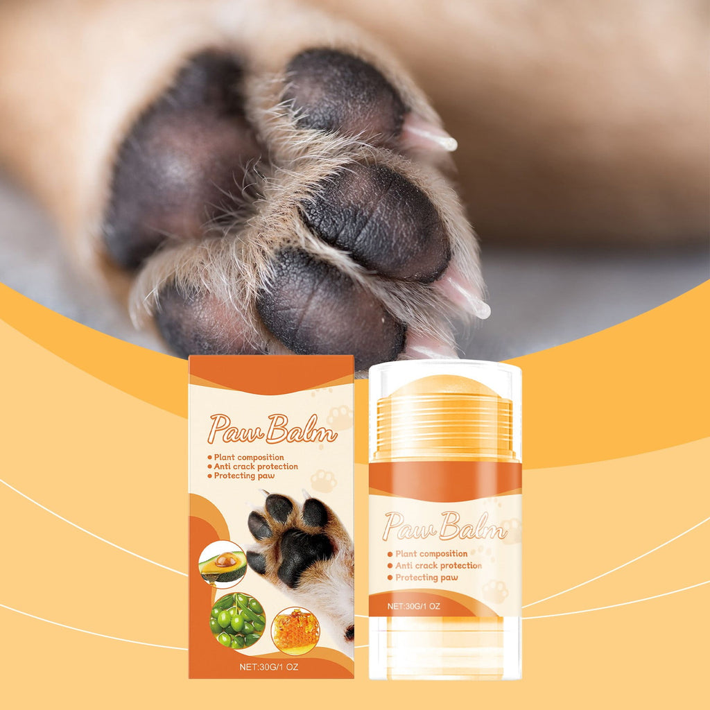 Paw balm stick with dog paw close-up and product packaging