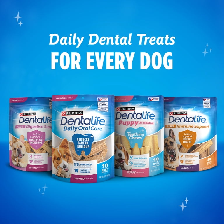 DentaLife product overview shot