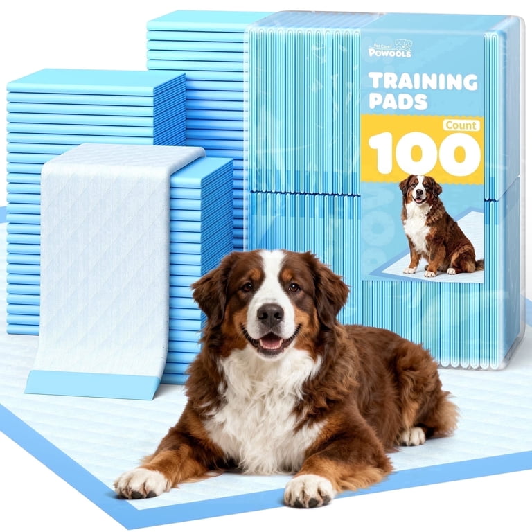 Bernese mountain dog lying on XL training pad - perfect for pet potty training with pheromone attractant