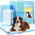 Bernese mountain dog lying on XL training pad - perfect for pet potty training with pheromone attractant