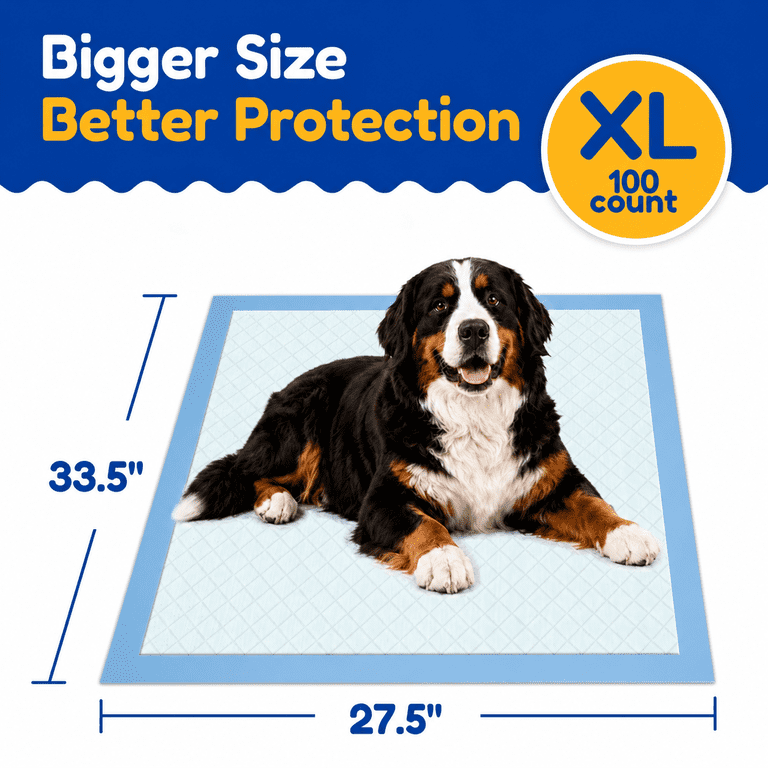 Training pad product overview on white background