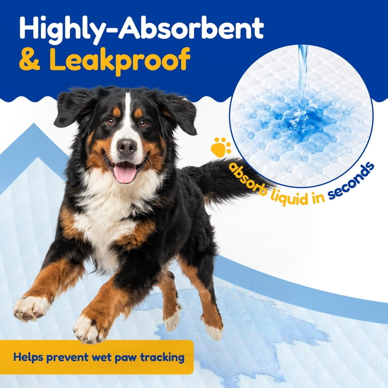 Training pad lifestyle shot with dog