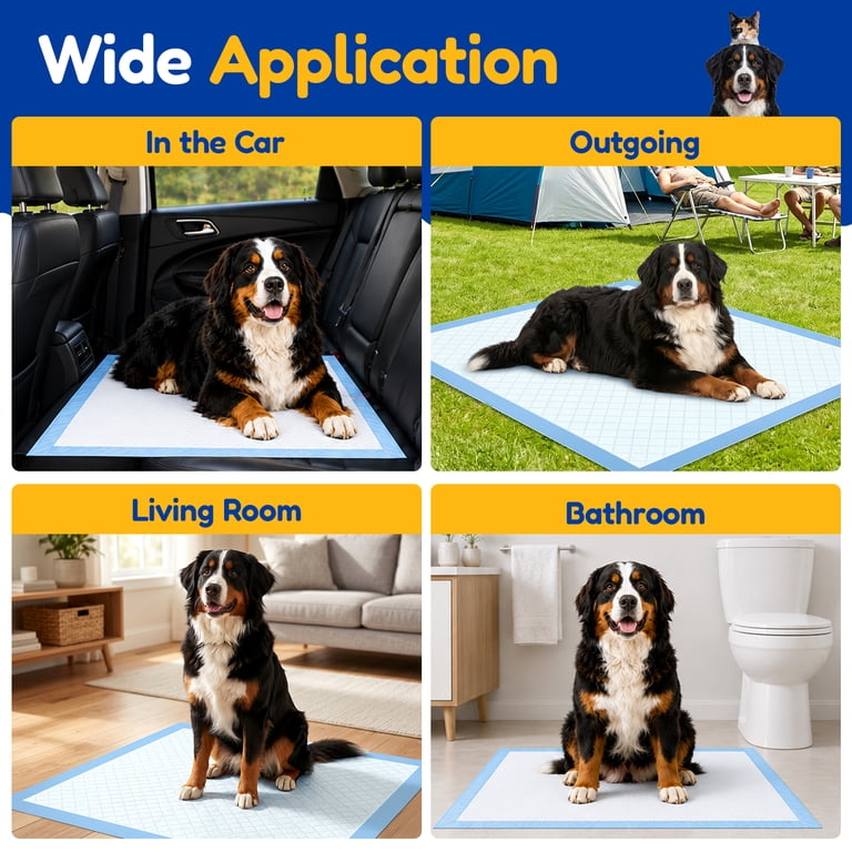 Training pad packaging and product overview