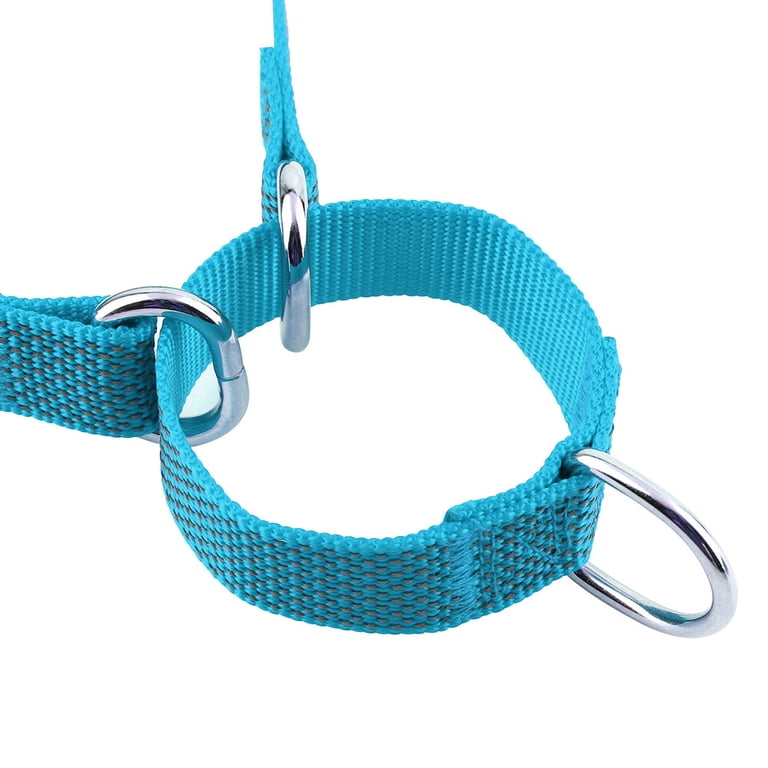 Blue martingale collar with engraved metal buckle