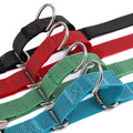 Close-up of blue martingale loop and leash ring