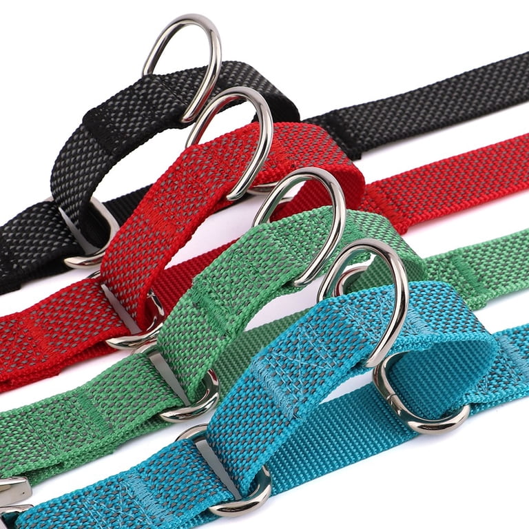 Close-up of blue martingale loop and leash ring