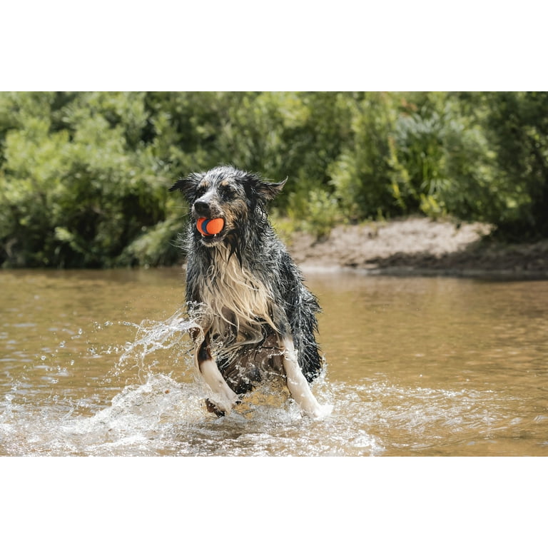 Chuckit! Ultra Ball – Large (3") High-Bounce Fetch Toy