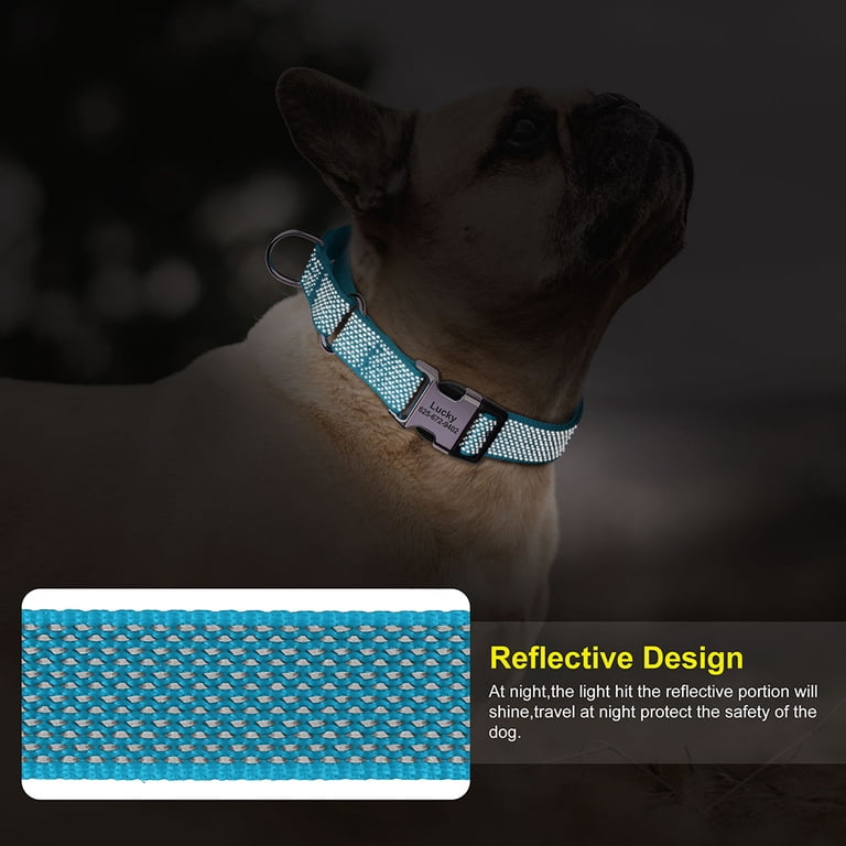 Dog collar size chart with neck measurements for small medium and large