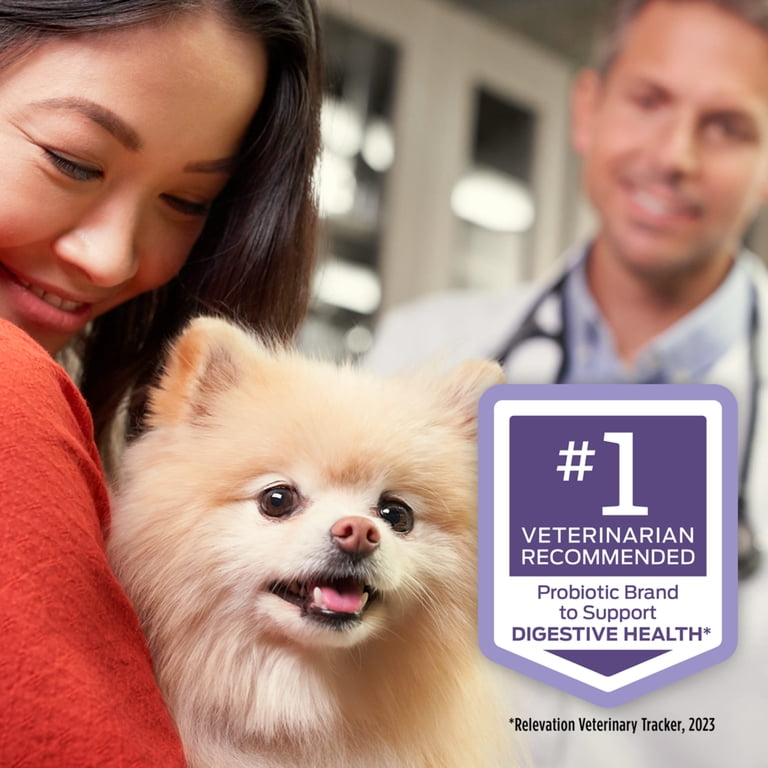 Dog with owner and veterinarian, FortiFlora probiotic brand graphic