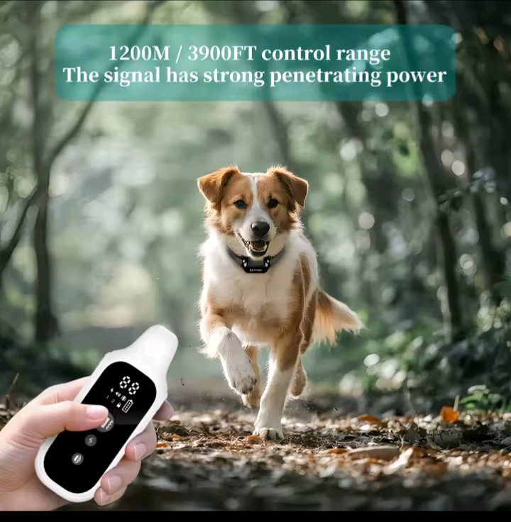 Dog running in forest with 1200M control range highlighted