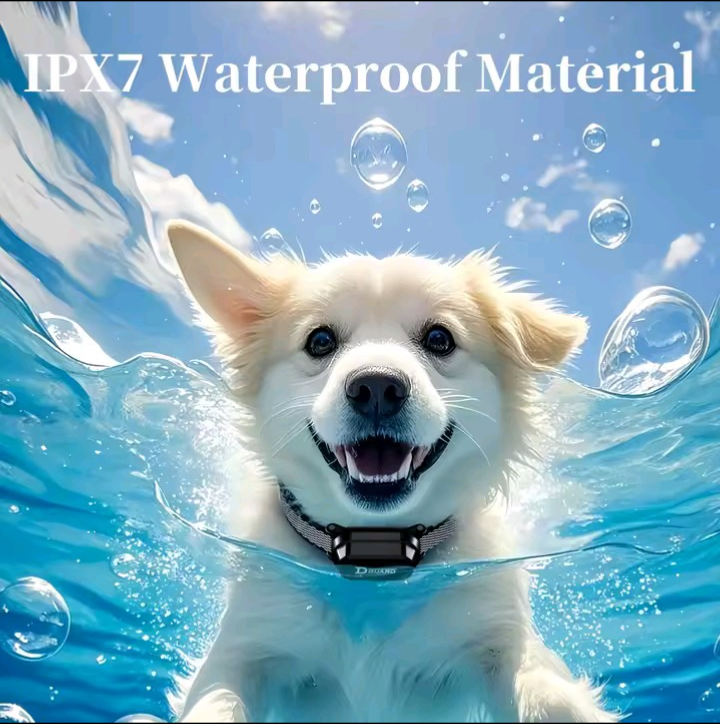IPX7 waterproof dog collar underwater