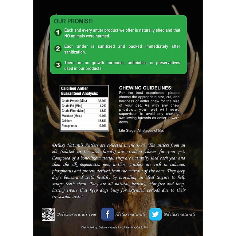 Elk antler chews measured on a cutting mat, guaranteed length 5 to 7+ inches