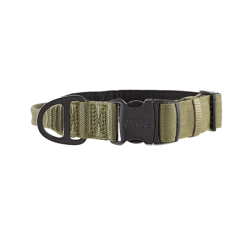 Green KONG dog collar buckle and leash attachment