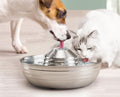 Dog and cat drinking from stainless steel pet fountain