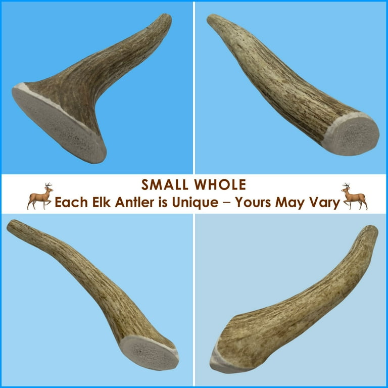 Four small whole elk antler chews, each unique