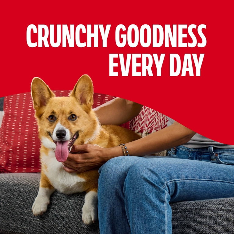 Milk-Bone Flavor Snacks Small Dog Biscuits, 24 oz
