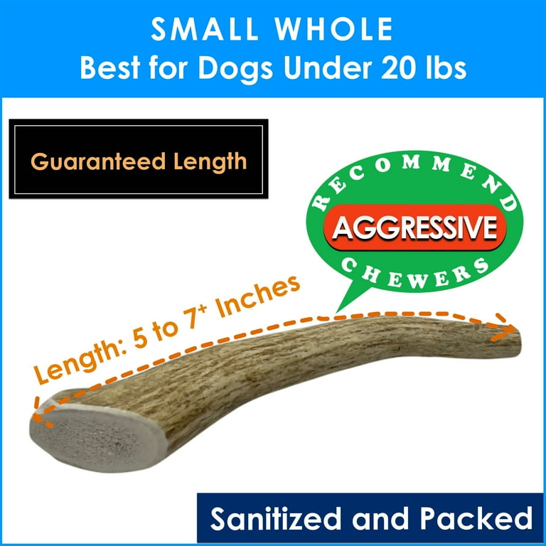 Small whole elk antler, best for dogs under 20 lbs, recommended for aggressive chewers, sanitized and packed