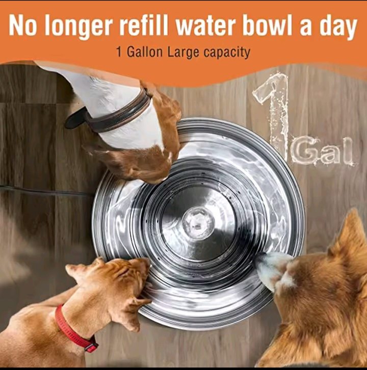 Classic Stainless Steel Pet Fountain