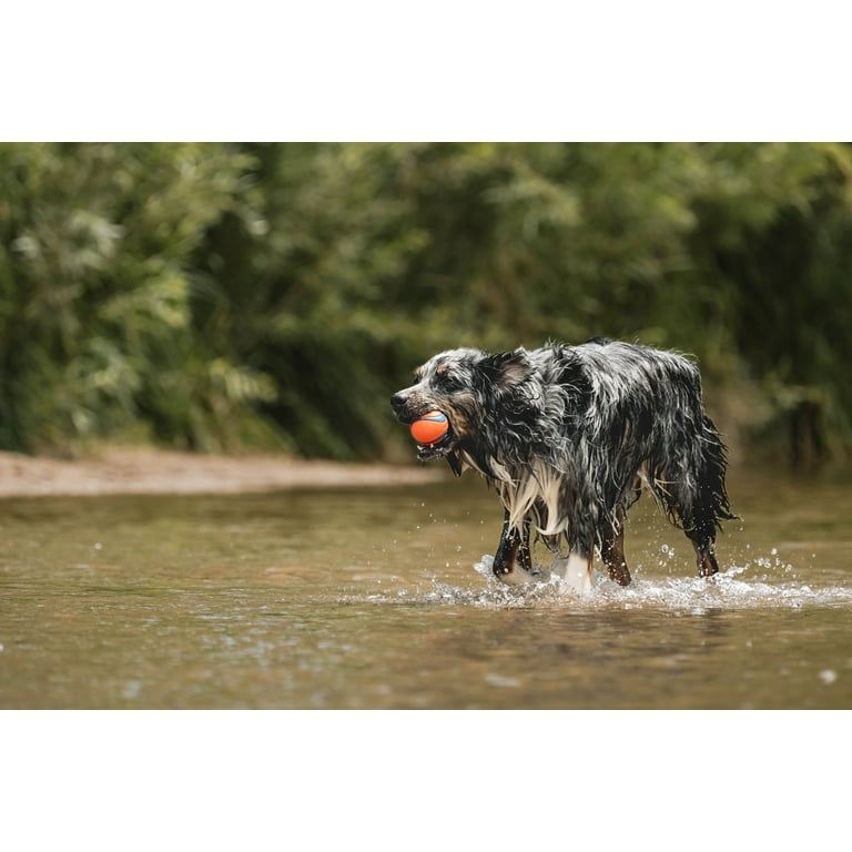 Chuckit! Ultra Ball – Large (3") High-Bounce Fetch Toy