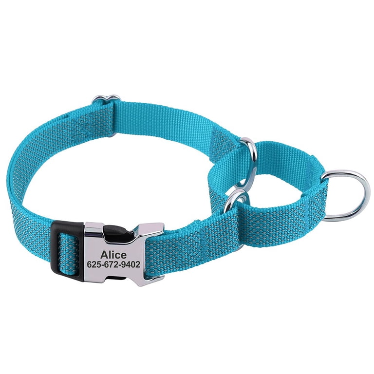Reflective blue dog collar shown illuminated in low light