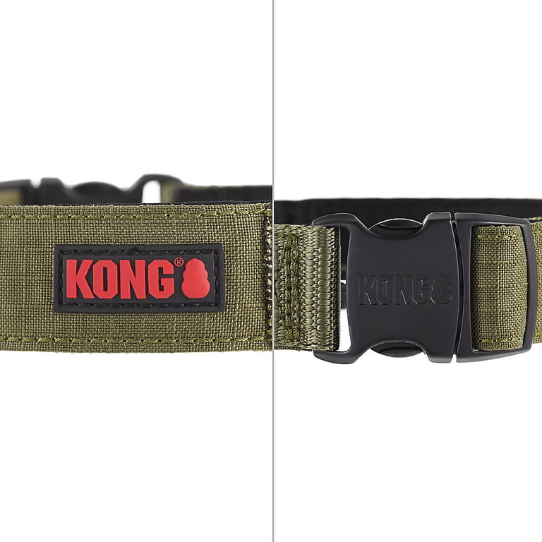 KONG dog collar logo and buckle details