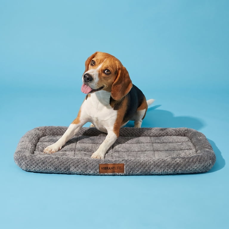 Vibrant Life Cozy Luxe Plush Dog Bed – Gray