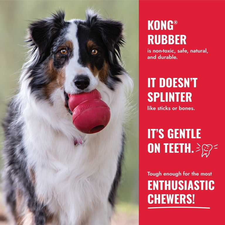 Dog holding KONG toy with rubber features