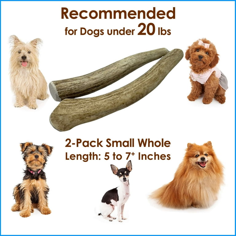 Elk antler twin pack recommended for dogs under 20 lbs, 2-pack small whole, 5 to 7+ inches