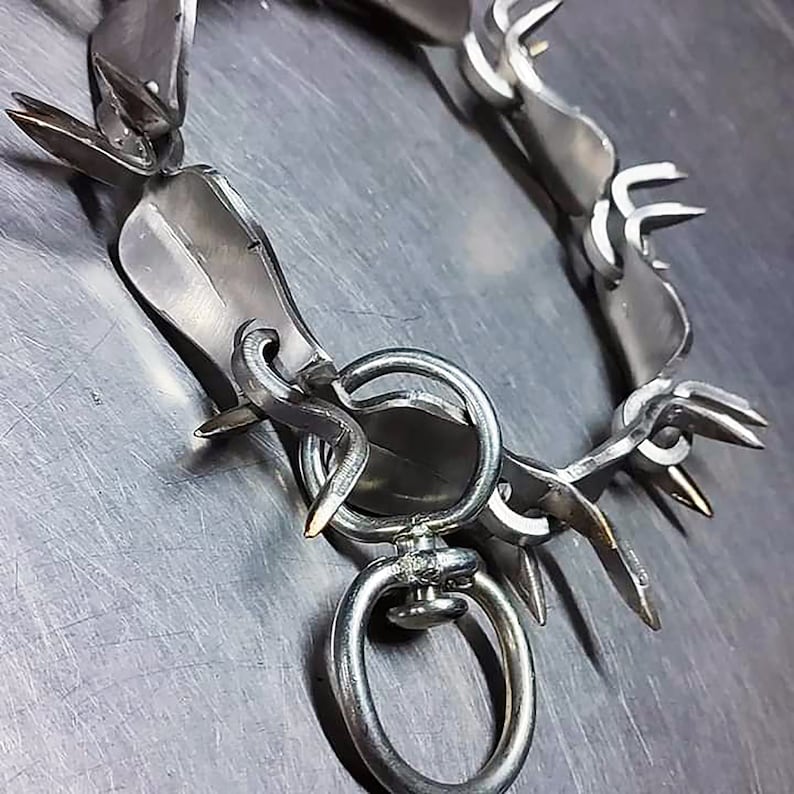 Close-up of collar links and metal rings