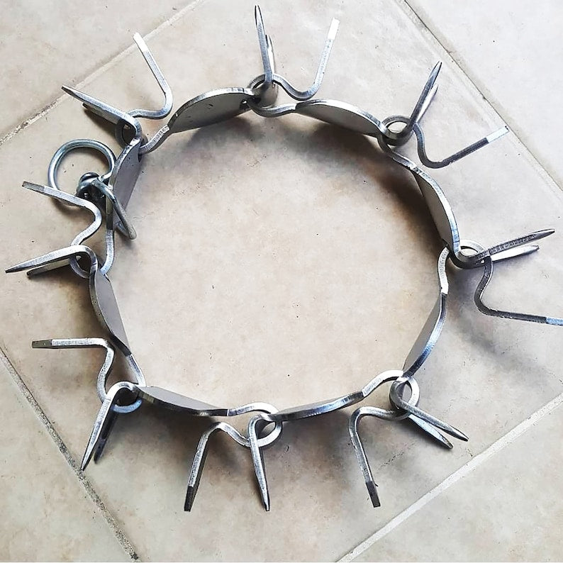 Silver-tone spiked metal dog collar laid in a circle