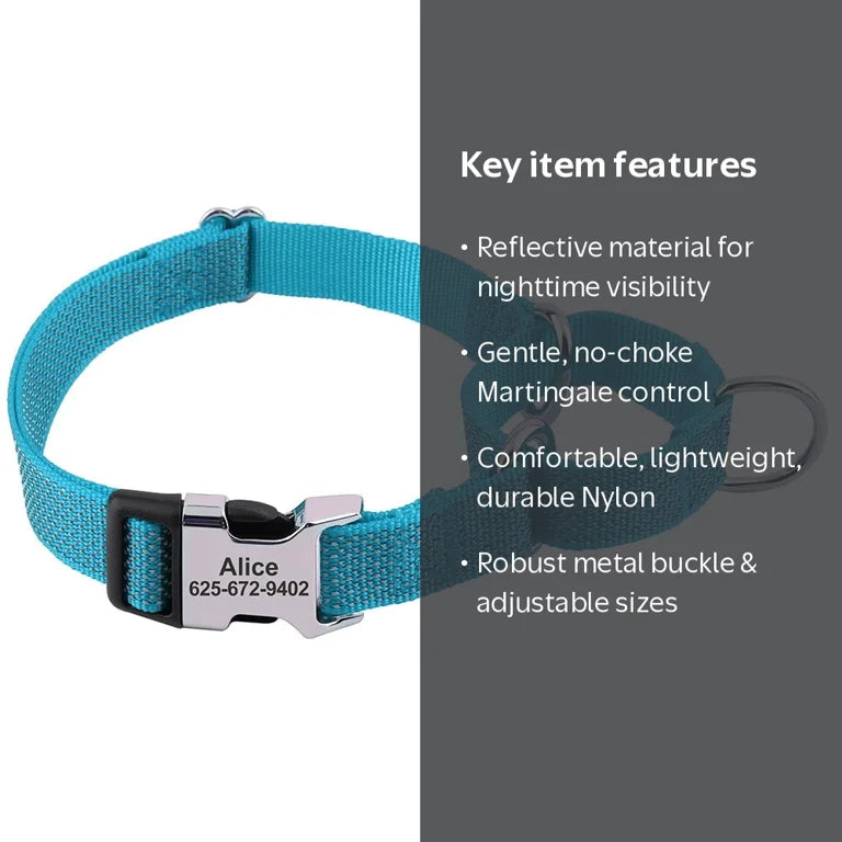 Blue reflective martingale dog collar with personalized buckle and dog wearing the collar